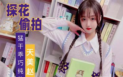 天美传媒.赵公子探花视频.猛干乖巧纯欲系少女
