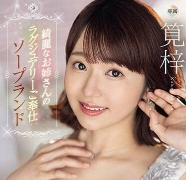 PRED-555 高贵的漂亮姐姐-笕梓