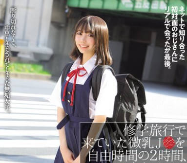 NPJS-152 修学旅行で来ていた微乳J●を自由时间の2时间、ハメまくった（笑） ネットで知り合った初対面のおじさんにリアルで会ったが最后。。ゆな