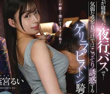 骑兵破解FNS-204 夜行バスで静かな時間を利用し、気弱な男性に優しく声をかける旅人、篠宮るい。