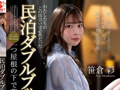 骑兵破解NACT-117 民泊ダブルブッキング 一つ屋根の下で惹かれあう二人 笹倉彩