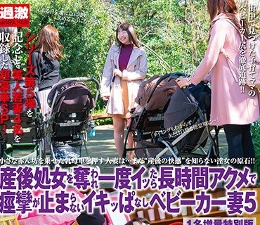 NHDTB-409 産後処女を奪われ一度イッたら長時間アクメで痙攣が止まらないイキッぱなしベビーカー妻5 1名増量特別版
