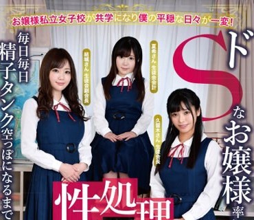 DOCP-284 お嬢様私立女子校が共学になり僕の平穏な日々が一変！ドSなお嬢様率いる美人生徒会の性処理ペット係に任命されてしまい…毎日毎日精子タ
