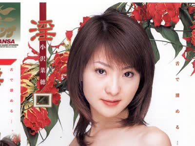 骑兵破解XS-2291 淫口 小沢菜穂