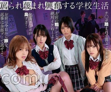 骑兵破解HSODA-127 罵られ蔑まれ興奮する学校生活 粗チンを貶しながらも何度だってヌいてくれて勃起させてくれる罵倒学級。