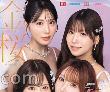骑兵破解MIRD-284 金桜九舞 最高峰な妻たち。令和の専属ドリーム大共演 【MOODYZ創立25周年記念】 九野ひなの 金松季歩 桜空もも 伊藤舞雪 生写真5枚セット