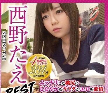 GAV-020 西野たえBEST