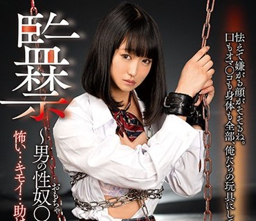 DDHH-011 監禁～男の性奴●になった私～ 渚ひまわり